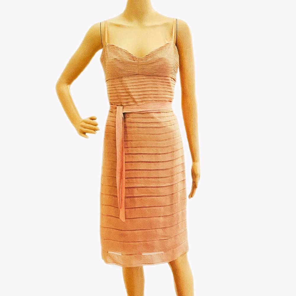 BCBG Maxazria Dusty Pink Ruffled Dress